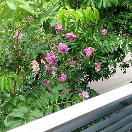 Hotel Hanh Hoa Chan Chau 외부 사진